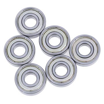 ISO BK455516 cylindrical roller bearings